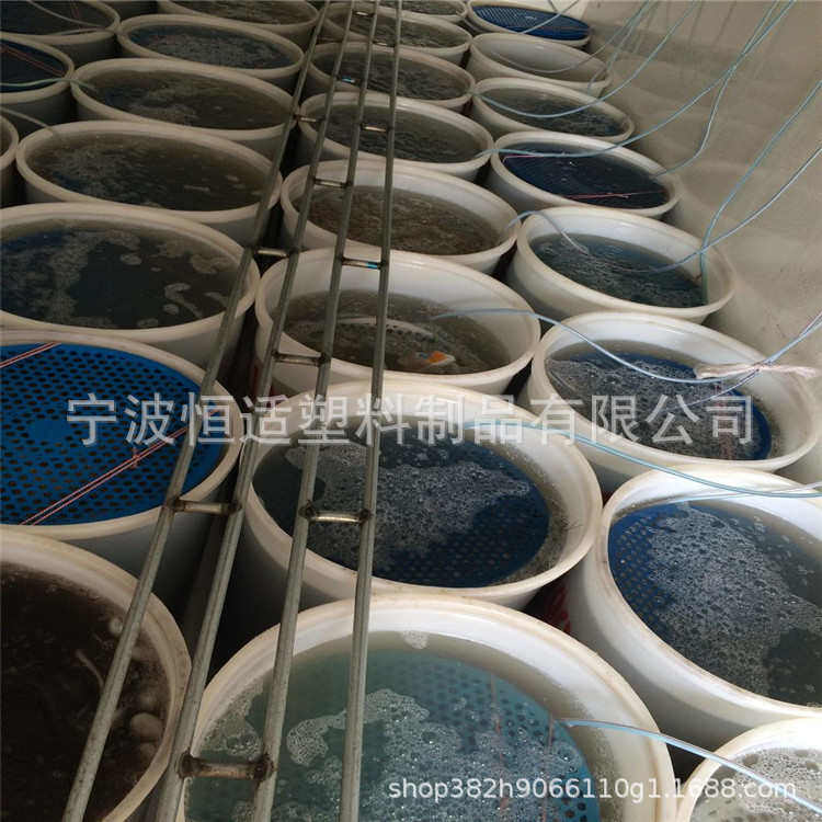 桶桶虾桶滚米peab.塑运输材质.养殖活滚螃蟹5运输养殖米11桶1塑,户外/登山/野营/旅行用品,水桶,淘宝优惠券,粉丝福利购,淘宝优惠卷