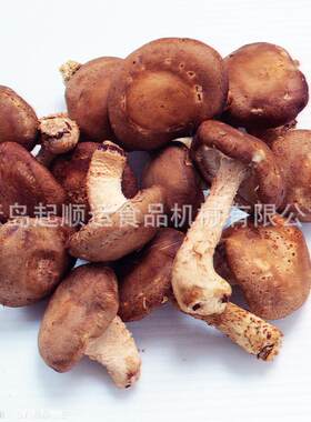 厂家现货销售大型网带机 温PIY度烫自动蒸汽漂烫蔬菜预煮机 漂设