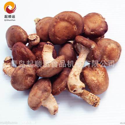 厂家现货销售大型网带机 温PIY度烫自动蒸汽漂烫蔬菜预煮机 漂设