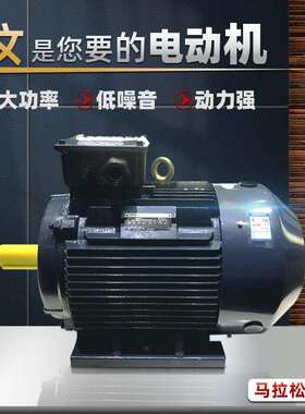 Marathon马拉松电机HJA铝壳电动机风机水泵压缩机等通用机械设备