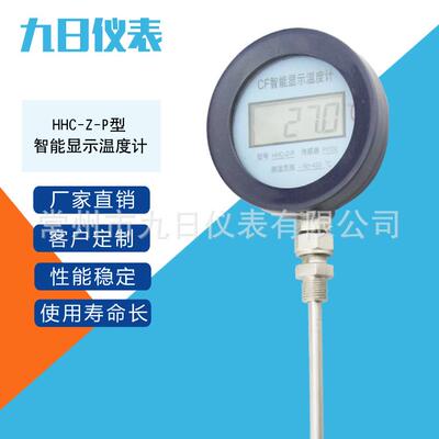 厂家直销智能数显温度计 hhc-z-p 智能显示温度计带数字