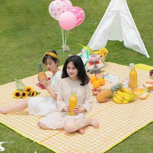 Picnic mat moisture-proof cloth field tent outdoor camping p