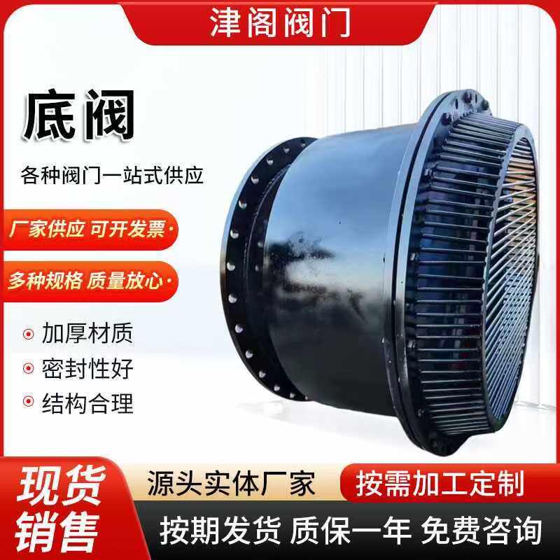 大口径焊接碳钢水泵法兰吸水底阀止回阀大流量