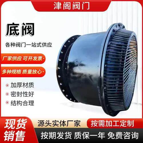 大口径焊接碳钢水泵法兰吸水底阀止回阀大流量
