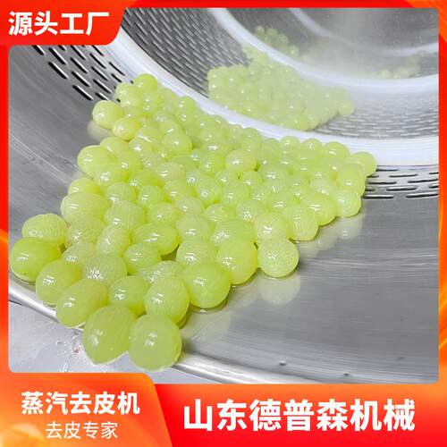 商用大型全自动物理蒸汽去皮机果蔬类葡萄芋头胡萝卜高温去皮设备