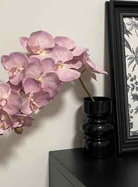 仿真蝴蝶兰摆件家居装饰玄关桌面摆件客厅轻奢高档房间改造小物件