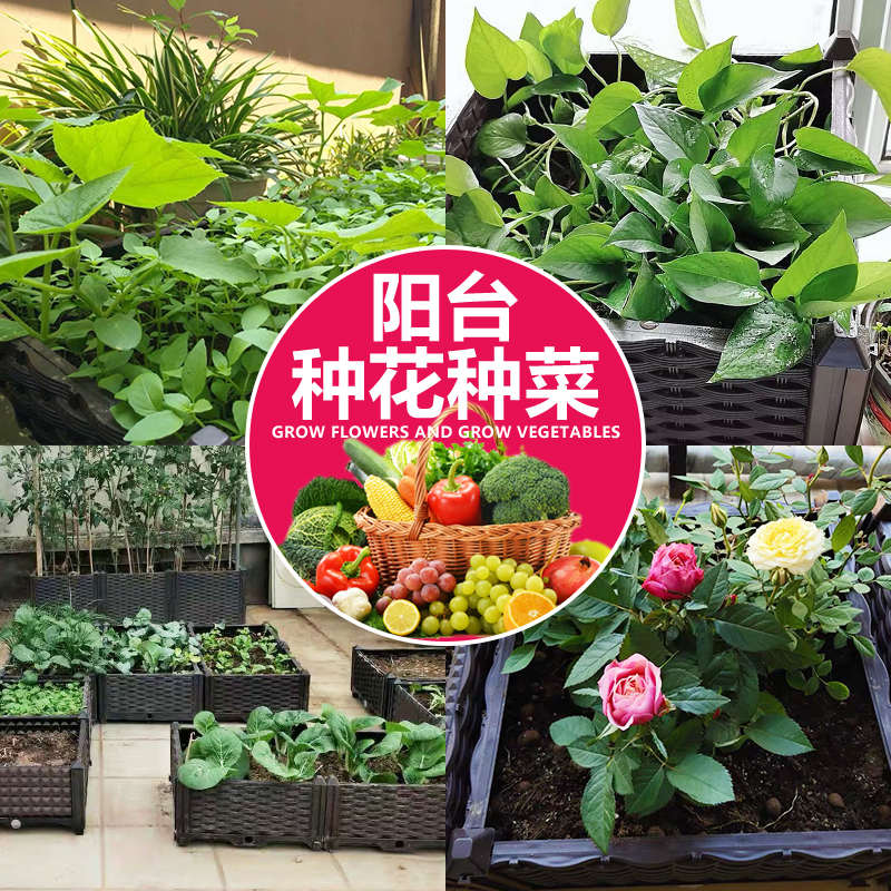 蔬菜种植箱特大阳台种菜盆长方形塑料花箱种花盆专用楼顶户外屋顶