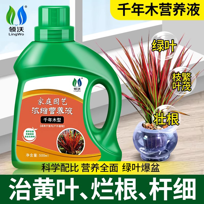 千年木肥料专用营养液龙血树盆栽有机肥花卉绿植通用型水溶液体肥