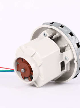 干磨机吸尘ZBL-DLAC无刷电机1200w 28kpa干湿汽修干磨机电