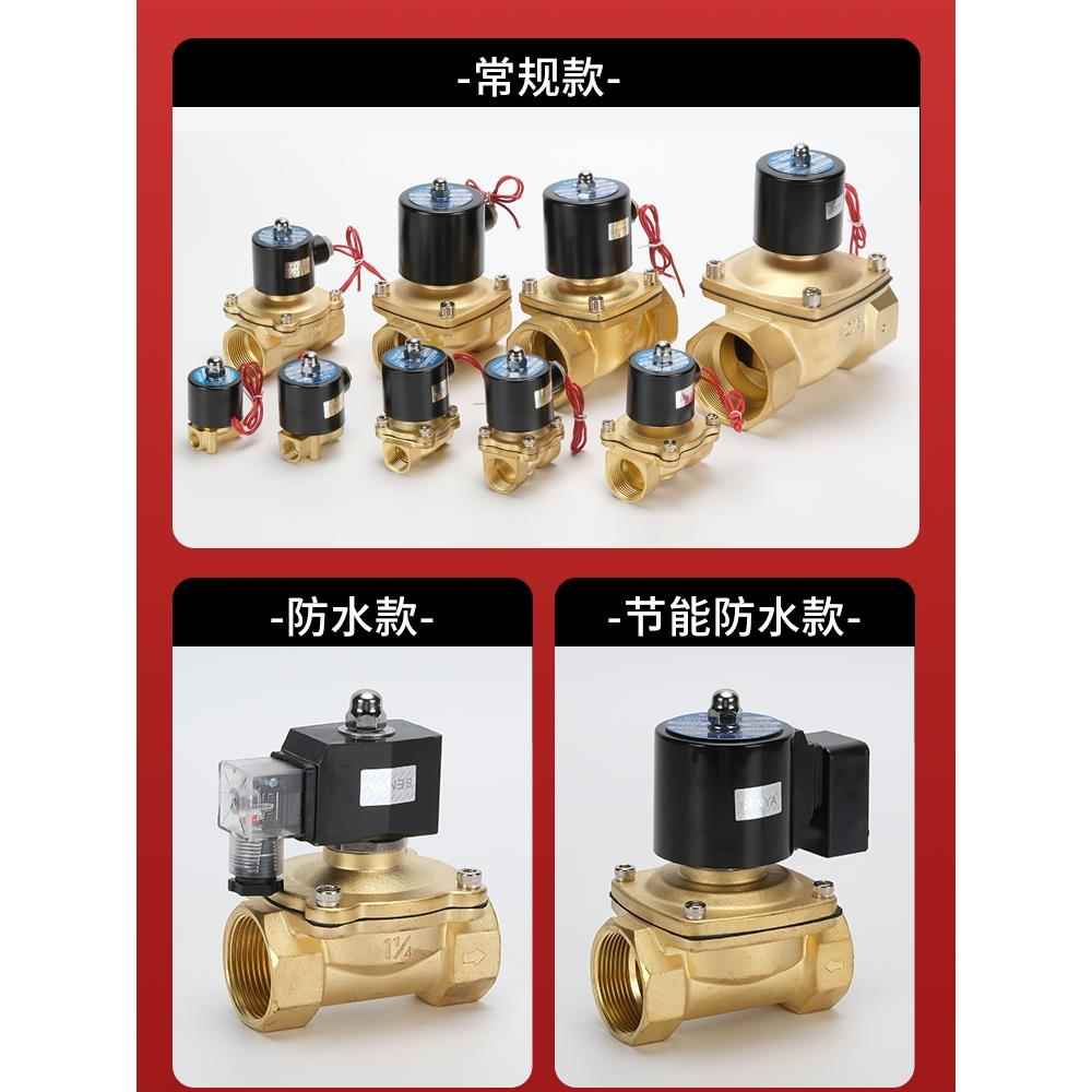 森亚SENYA常闭水阀电磁阀2w-025-082w-040-10 2w-160-15铜阀铝线