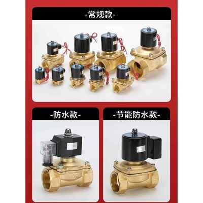 森亚SENYA常闭水阀电磁阀2w-025-082w-040-10 2w-160-15铜阀铝线