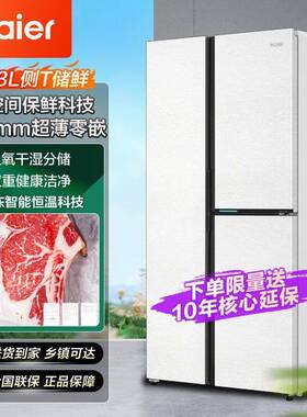 海.尔冰箱503升L双开三门594mm零嵌入式家用大容量