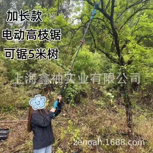 丸崎C1028锂电高枝锯充电式高空修剪树枝锯21V