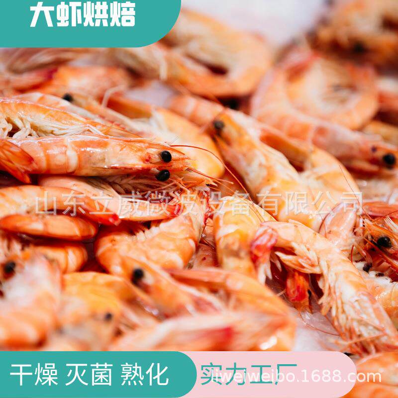 海产品鱿鱼丝烘干机口感有嚼劲 海鲜杀菌杀虫卵设备 鲜虾微波快速