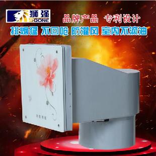 通风机静音吸抽油烟机S520 狮强厨房排气扇强力油烟换气扇10寸窗式