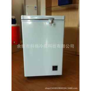 108L电子控温直流冷柜蓄电池冰柜插电太阳能冷柜车载冰箱12V24V