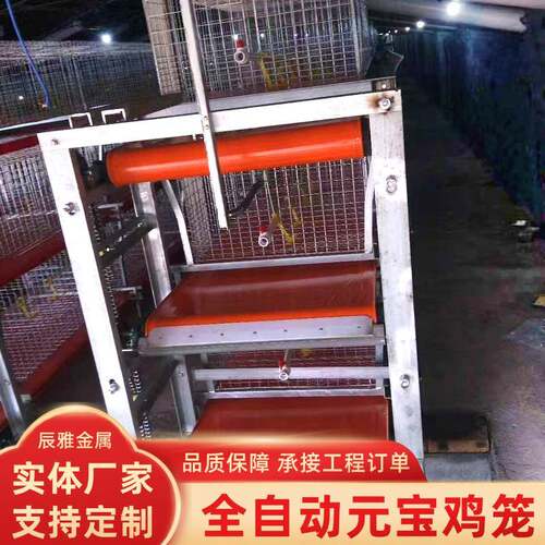 农牧层叠式蛋鸡笼养设备三四层肉鸡笼自动集蛋清粪养鸡设备笼具