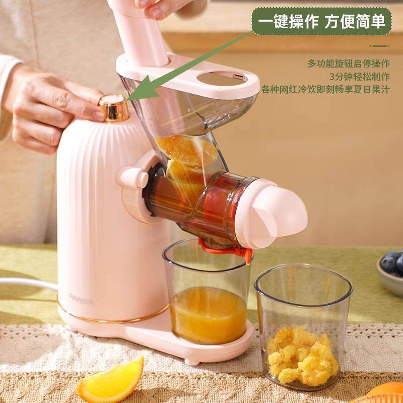 低速原蔬汁机榨汁机174汁动渣分离家用小型全自炸果豆浆芹西果汁