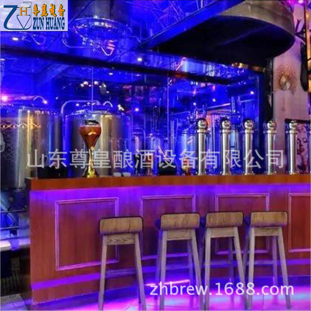 酒吧自酿啤酒机 原浆啤酒设备 500L发酵罐 不锈钢酿酒设备 山东