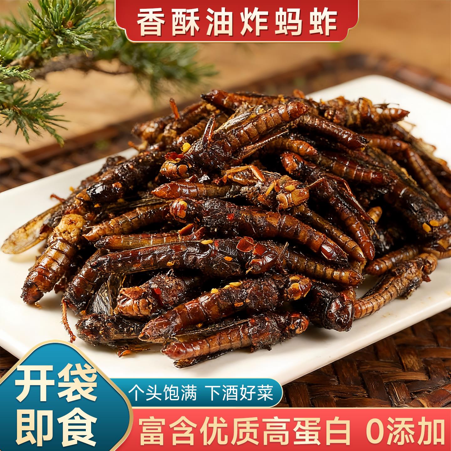 蚂蚱油炸新鲜蚂蚱香酥蚕蛹农家油炸蝗虫开袋即食美食小吃下饭下酒