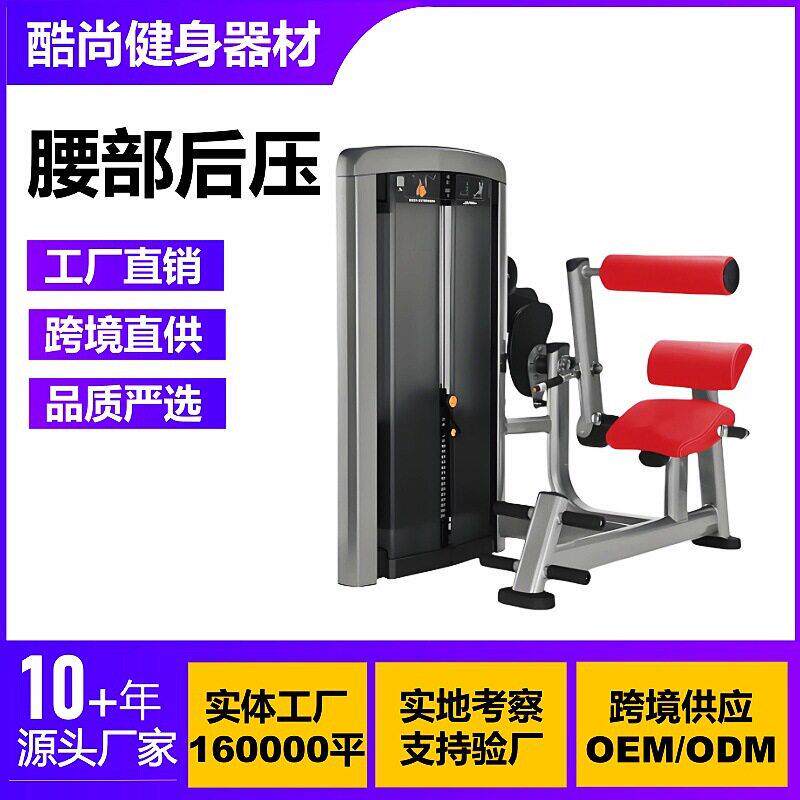 腰部后压商用健身器材大全肩部胸部腿部腹部背部腰部力量训练器