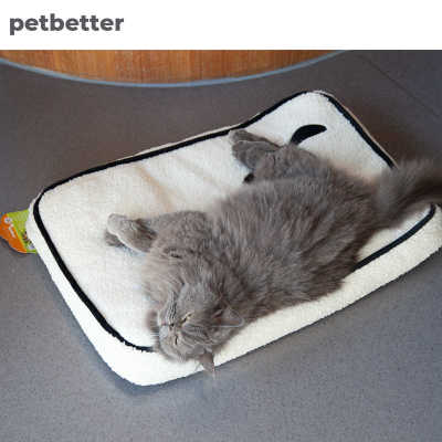 小羊冬季保暖猫窝宠物窝超大号垫狗窝小型犬猫床猫咪用品