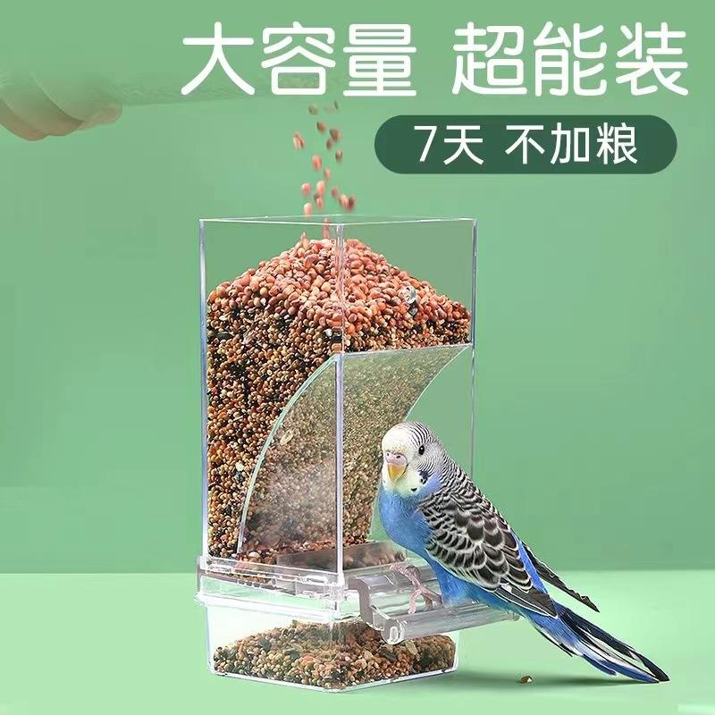 喂食喂食虎皮玄凤鹦鹉鹦鹉鸟窝