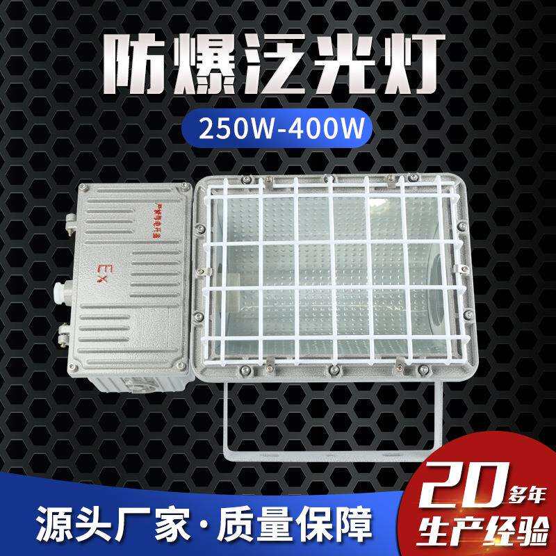 防爆泛光灯250W-400W防爆投光灯连体防爆厂房照明灯防爆路灯金