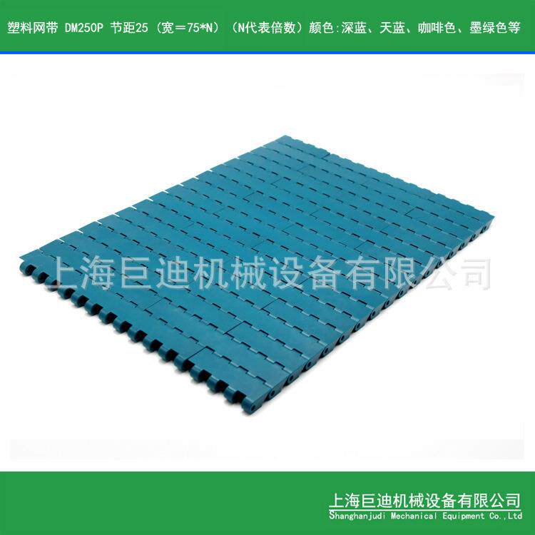 供应塑料模块网带工业塑料网带,模组式网带,输送网带DM250P