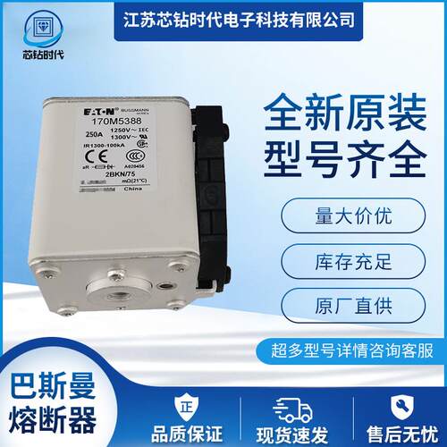 170M5397 170M5398 巴斯曼BUSSMANN熔断器保险丝