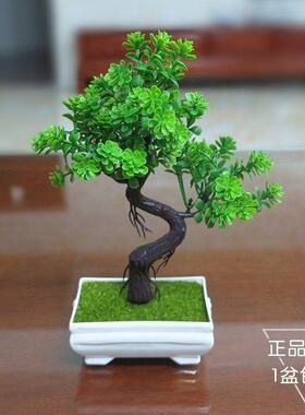 Artificial plant potted indoor artificial flowers and reen