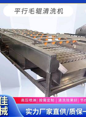 圣女果毛刷清洗设备家用蔬菜喷淋毛辊清洗机平行毛刷清洗机