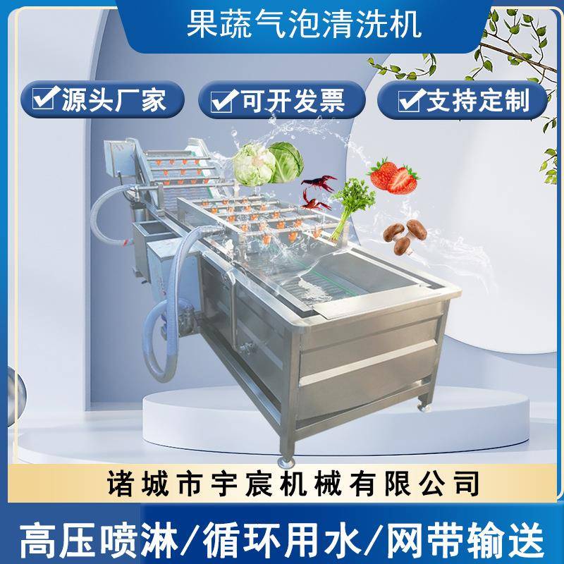 气泡清洗机商用大型蔬菜水果海带枇杷百香果圣女果气泡清洗线