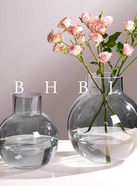 北欧风创意玻璃花瓶透明圆球轻奢水培鲜花干花插花瓶餐桌客厅装饰