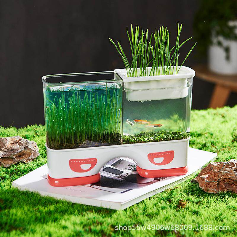 儿童种植箱透明盆栽迷你农场发芽植物观察窗小花农根系生长种菜盒