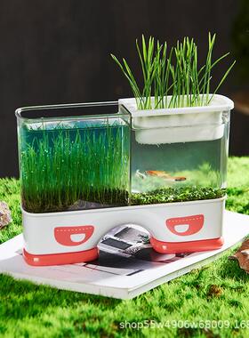 儿童种植箱透明盆栽迷你农场发芽植物观察窗小花农根系生长种菜盒