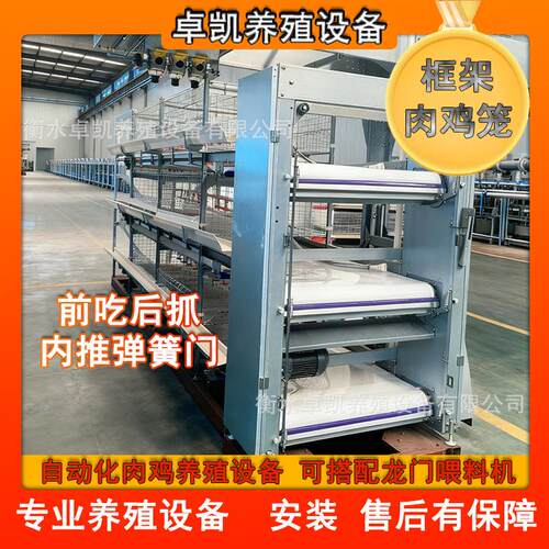 后热镀锌半自动立体框架肉鸡笼前吃后抓弹簧门加固加粗易清理