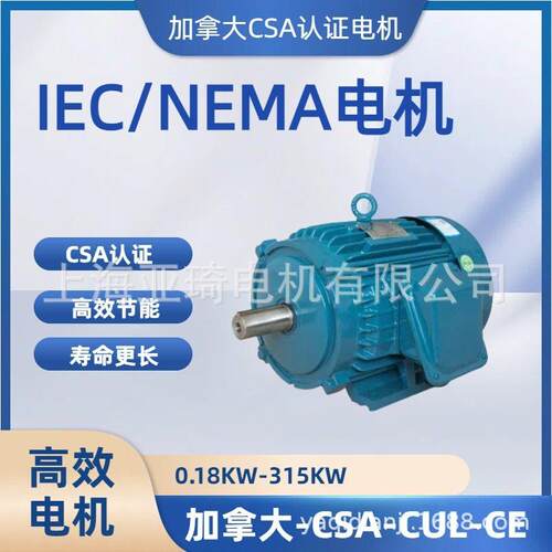 出口专用电机电压200V230V240V260V415V440V460V575V三相电动机
