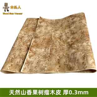 天然山香果树瘤实木皮 家具翻新 音箱贴面 黄金樟宽幅免拼接木皮