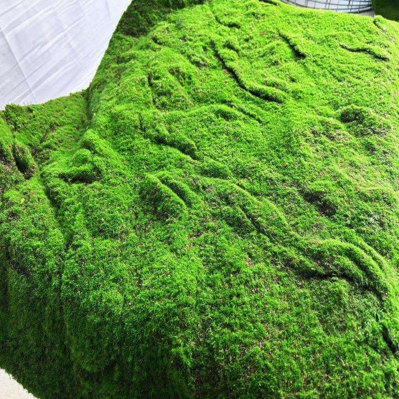 仿真植绒毛苔藓地毯永生青苔墙园林文化馆软装沙盘橱窗绿植造景