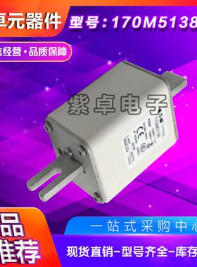 170M5058 170M5059 170M5060 170M5061全新巴斯曼Bussmann熔断器