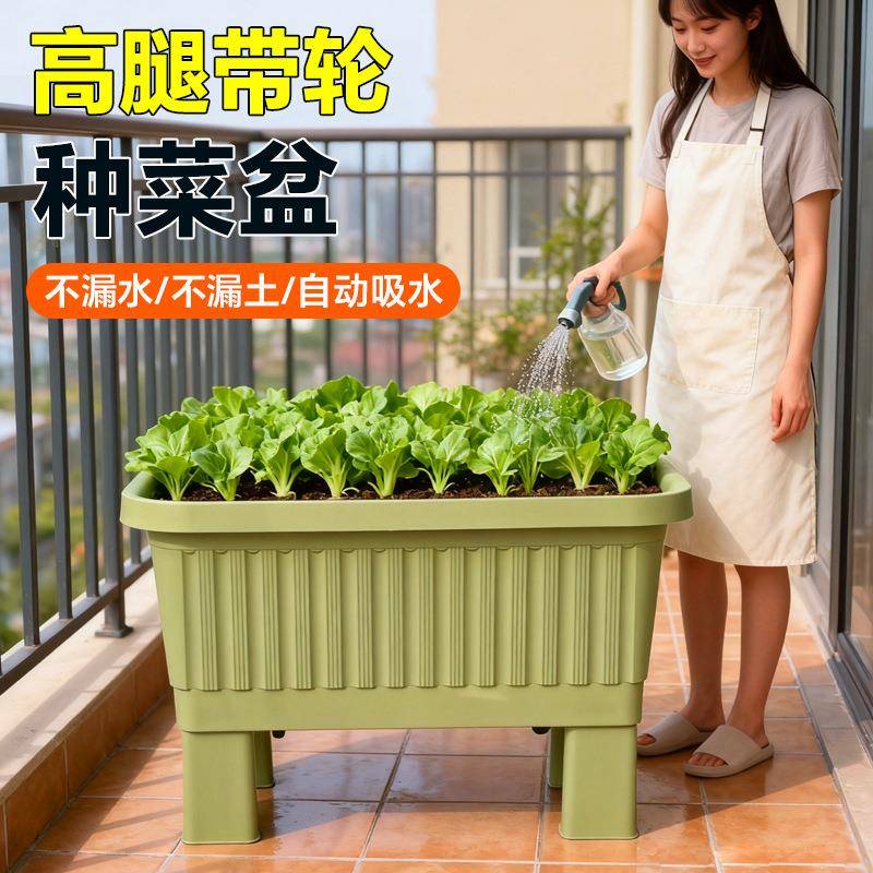 阳台大盆种菜长A-116方家庭蔬菜种植箱特号塑料花盆形家用花箱户