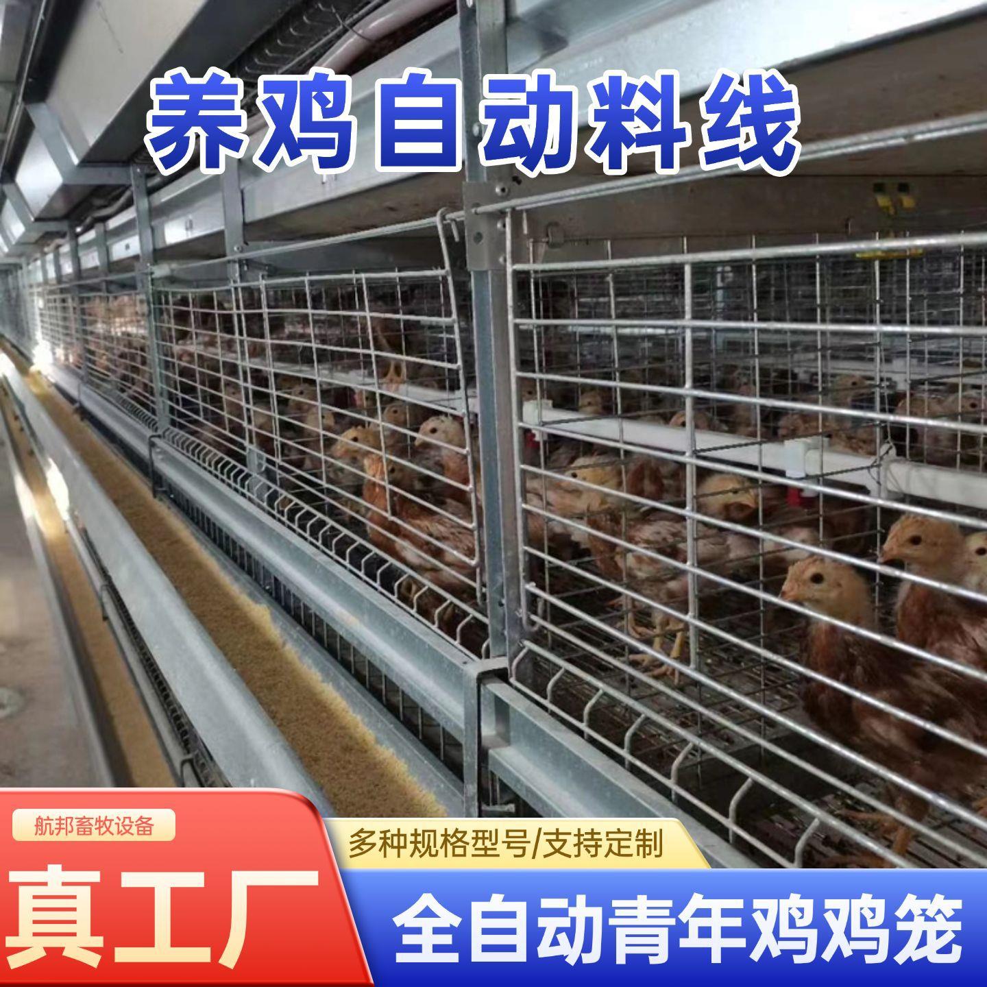 青年鸡立式自动化养殖设备全自动框架养鸡笼鸡舍养鸡场层叠式钢丝