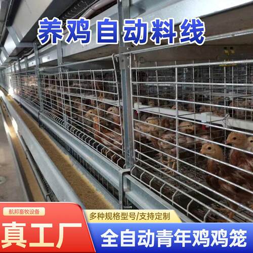 青年鸡立式自动化养殖设备全自动框架养鸡笼鸡舍养鸡场层叠式钢丝