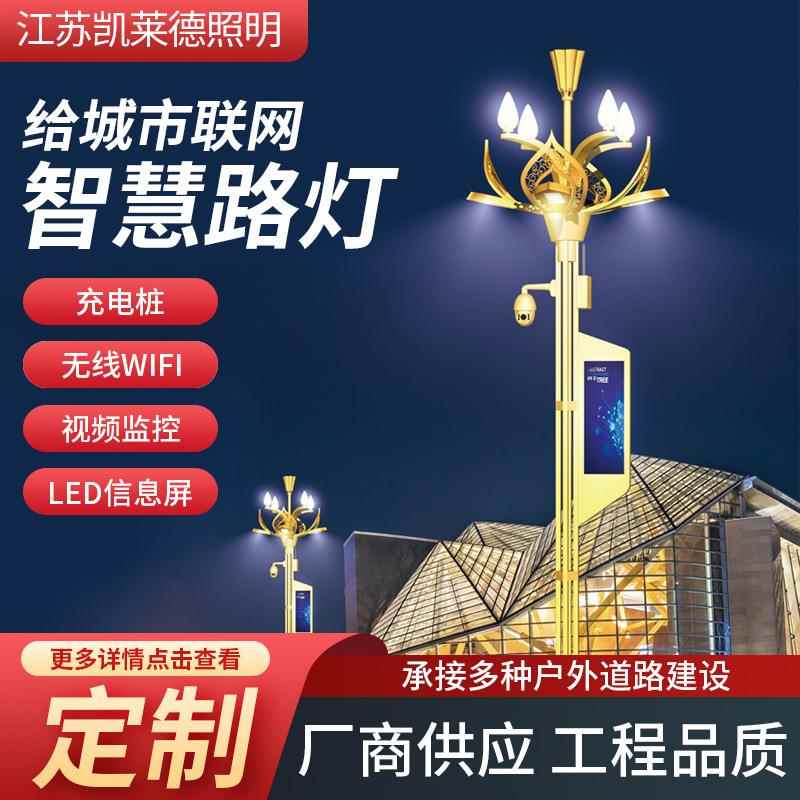 市政工程智慧路灯LED信息屏监控照明一体道路灯广场景观照明灯
