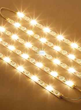 LED灯芯长条光源替换客厅吸顶灯卧室改造灯盘黄光暖光色温3000k