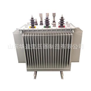 特殊油浸式变压器定做10000V变1140V和400V双低压变压器