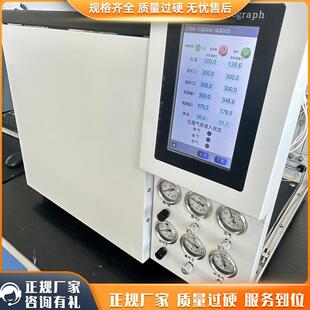 石化行业气相色谱仪 FID+TCD双检测器同步分析永久气体