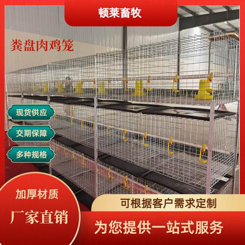 立体肉鸡鸡笼H型框架鸡笼鸡舍养鸡场用镀锌工艺层叠式可供外贸