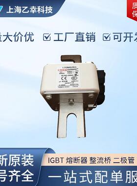 巴斯曼熔断器 170M6249 170M6250 170M6251 170M6252 170M6253